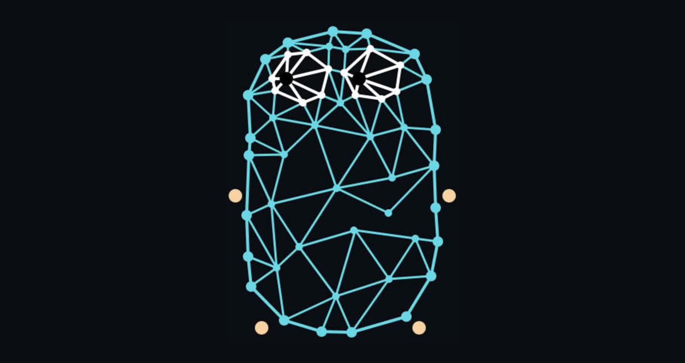 Yggdrasil Network as an Embedded Go Library